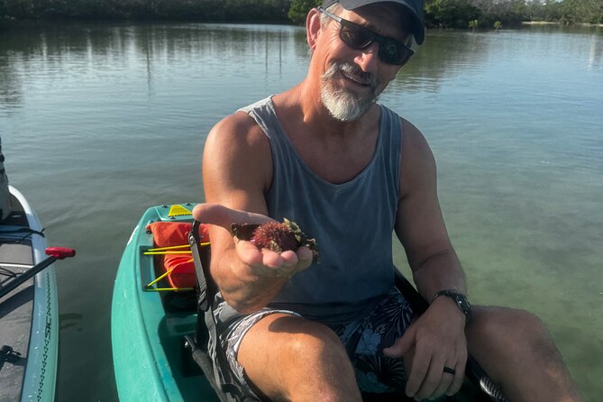 Bonita Springs Eco Kayak Tour – Best Gear, Premium&Clear Kayaks - How The Guides Teach You To Paddle (Even If You’ve Never Done It)
