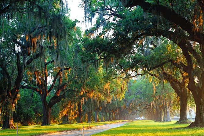 Boone Hall Plantation All-Access Admission Ticket - What the Boone Hall all-access ticket really covers (and why that matters)
