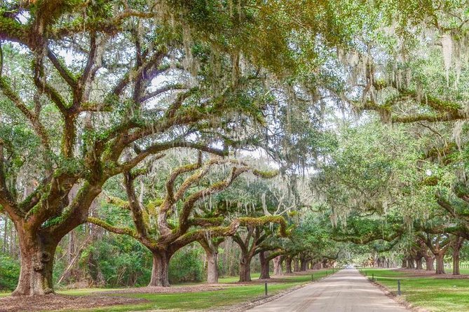 Boone Hall Plantation All-Access Admission Ticket - Gullah culture live presentation: when the story goes past the plantation walls