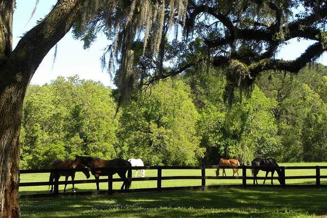 Boone Hall Plantation All-Access Admission Ticket - Gin house museum and stable tour: small details that add up
