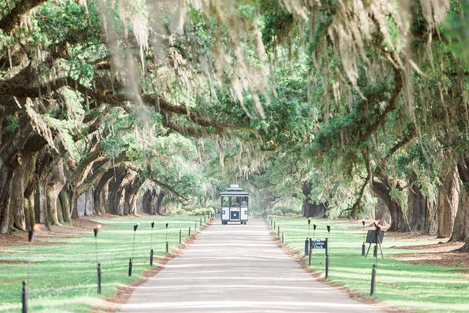 Boone Hall Plantation All-Access Admission Ticket - Arriving under the Avenue of Oaks, then getting your bearings fast