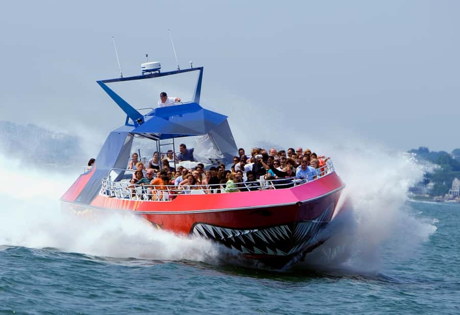 Boston: City Cruises Harbor Codzilla High Speed Thrill Boat - Key Points at a Glance