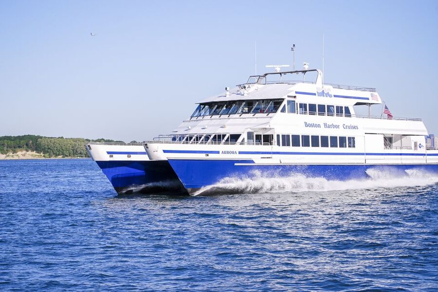Boston: City Cruises Whale Watching Cruise - Long Wharf start: your easiest path to the water