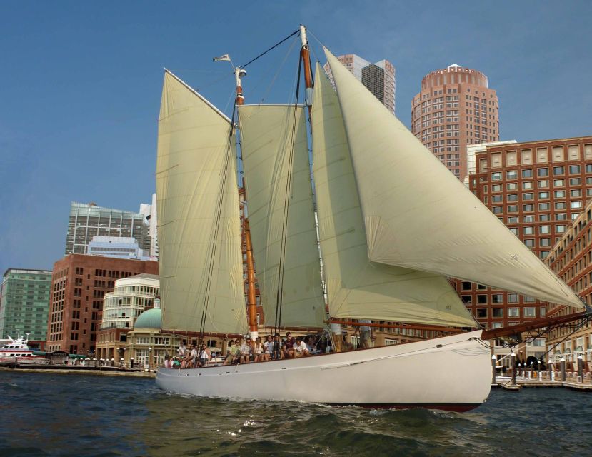 Boston: Downtown Harbor Sailing Cruise - New England Aquarium views, plus the sea-life factor