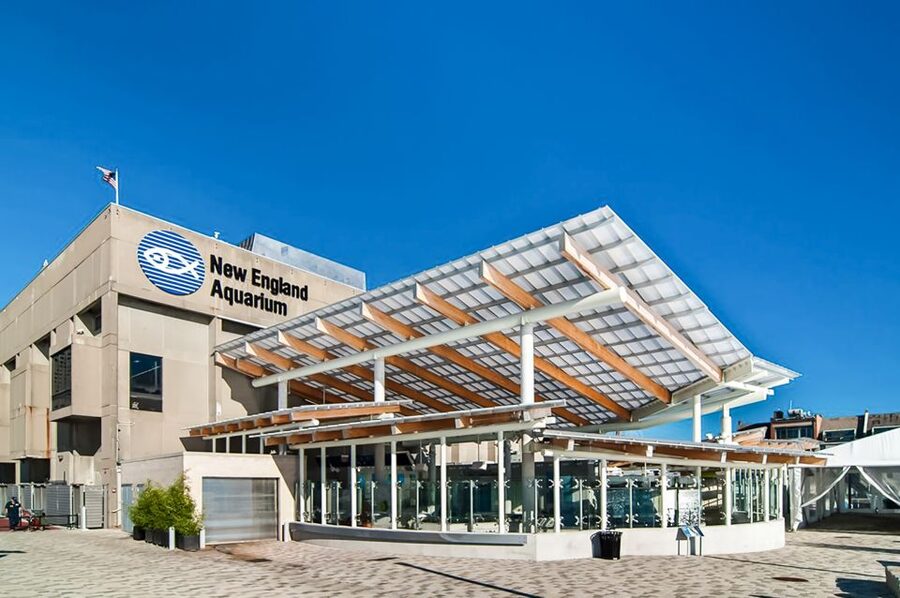 Boston: New England Aquarium Entry + Optional Simons Theatre - Key Highlights That Make This Ticket Worth It
