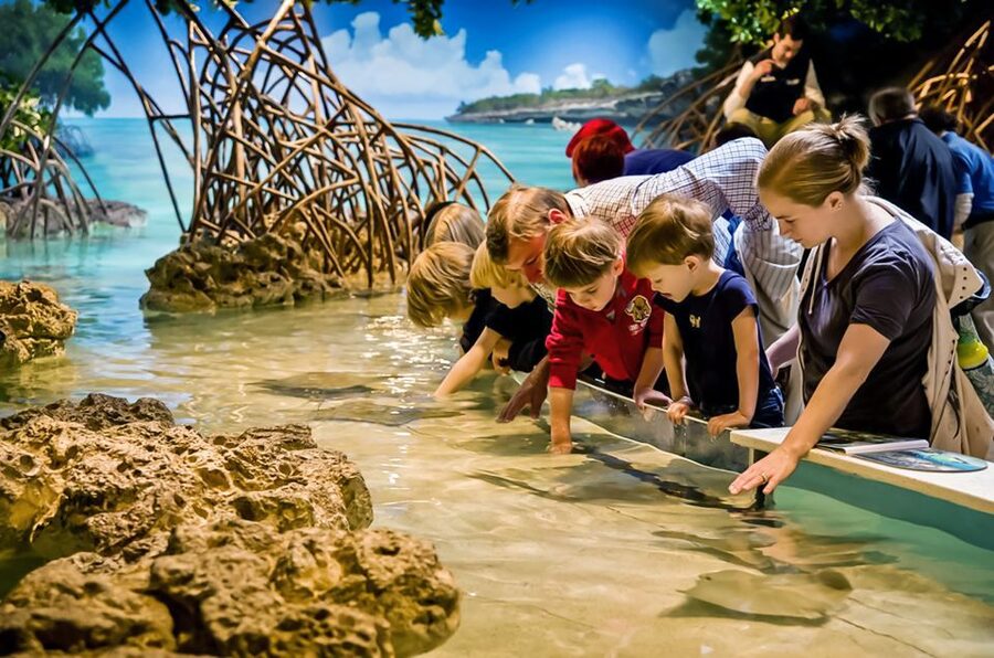 Boston: New England Aquarium Entry + Optional Simons Theatre - Optional Simons Theatre Film on a Five-Story Screen