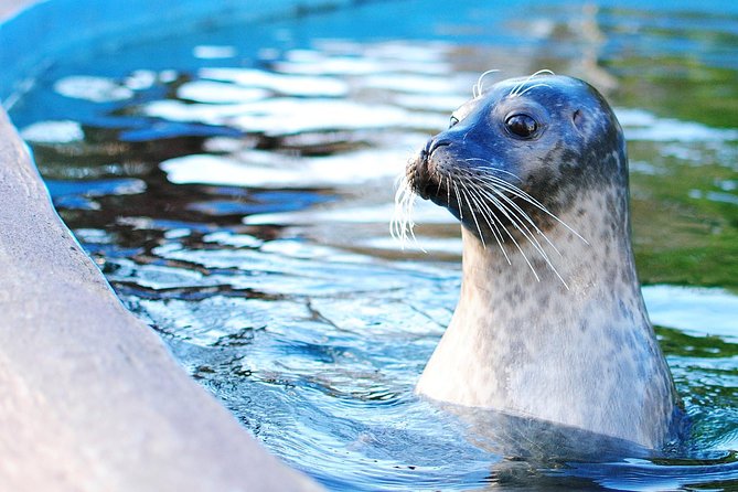 Boston Pass: 40+ Things To Do - Includes Franklin Park Zoo - Your Best Indoor Wins: Museum of Science, Fine Arts, Observation Deck