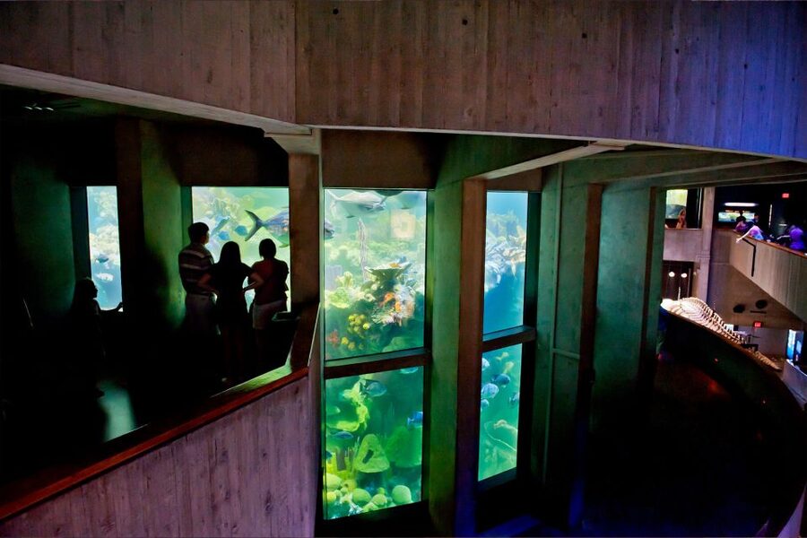 Boston Pass: Save up to 50% - Includes Franklin Park Zoo - Choosing 1, 2, 3, 5, or 7 days without regret