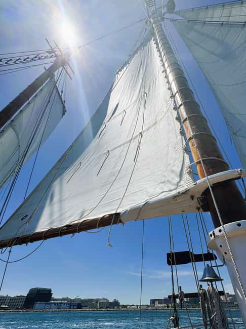Boston: Tall Ship Harbor Sail - Quick takes: what to know before you go