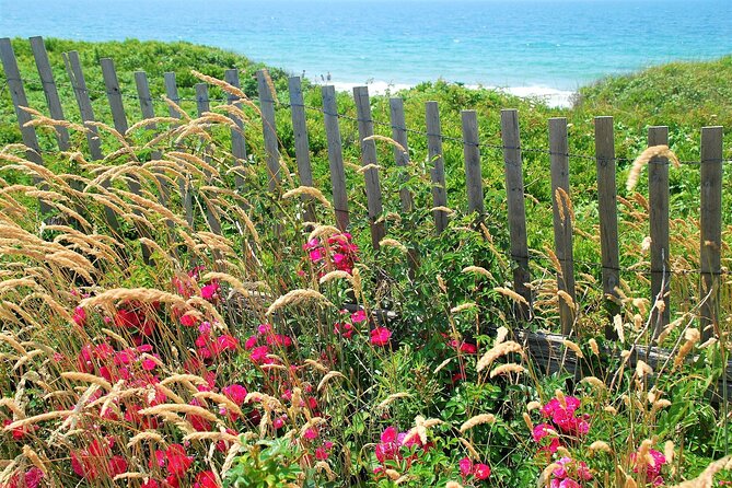 Boston to Martha's Vineyard Day Trip with Optional Island Tour - Comfort, Hearing the Guide, and Why Bus Setup Shows Up in Reviews