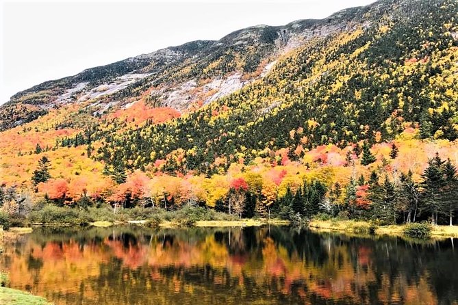 Boston to New Hampshire Fall Foliage White Mountains Day Trip - Kancamagus Highway: Fall Foliage Photo Stops Built Into the Drive