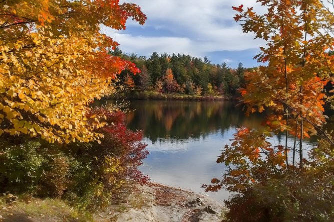 Boston to New Hampshire Fall Foliage White Mountains Day Trip - Price and Value: What $150 Buys in a Long 12-Hour Day