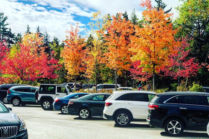 Boston to New Hampshire Fall Foliage White Mountains Day Trip - Who This Boston to White Mountains Tour Is Best For