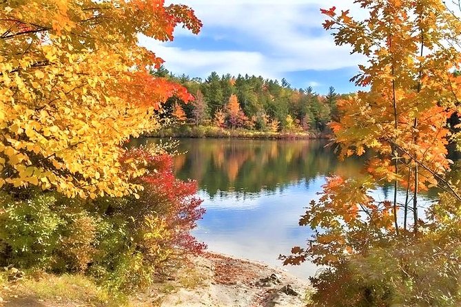 Boston to New Hampshire Fall Foliage White Mountains Day Trip - North Conway Lunch Time That Actually Feels Like a Break