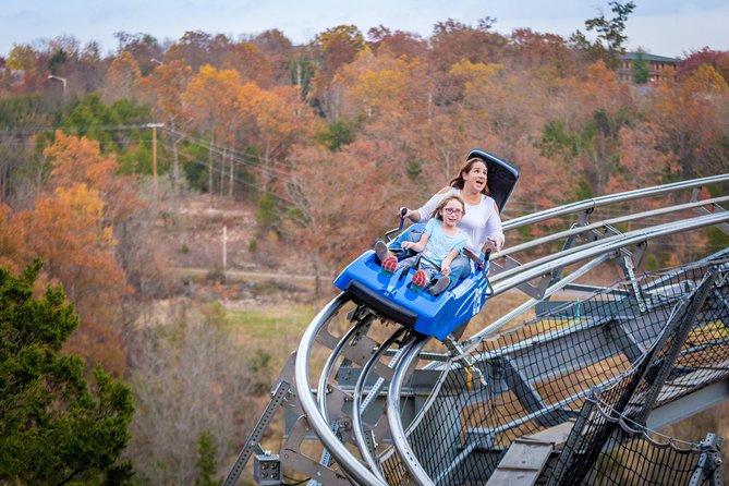 Branson Alpine Mountain Coaster Ticket - Timing in Branson: lines, day vs night, and what to plan for