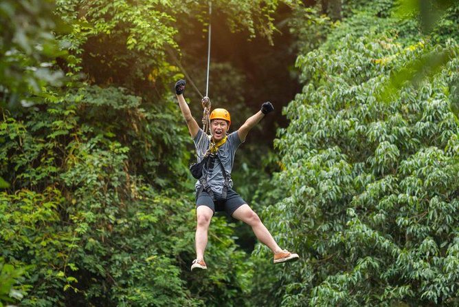 Bransons Best Zipline - Great Woodsman Canopy Tour - Key things I’d look for on the Great Woodsman Canopy Tour