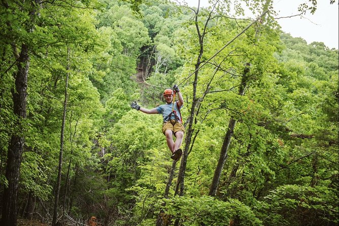 Bransons Best Zipline - Great Woodsman Canopy Tour - What You’ll Notice on the Course, Even If You’re Scared at First