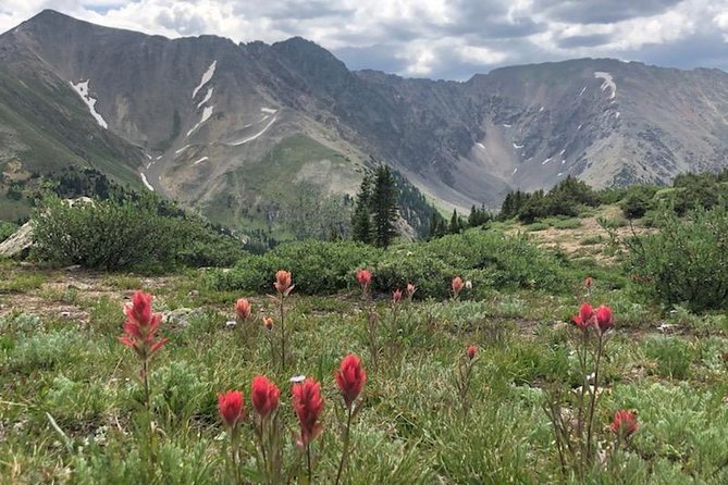 Breckenridge Ultimate Full Day Mountain Tour from Denver - Sapphire Point Overlook: A Scenic Walk With Big Views