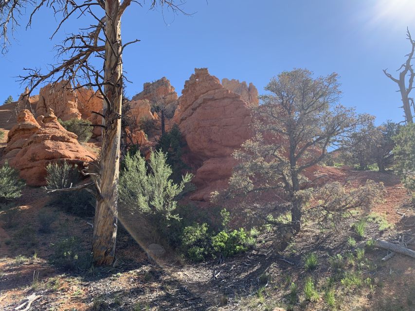 Bryce Canyon City: Horseback Riding Tour in Red Canyon - Where the ride begins: Bryce, the inn lobby, and a short drive to the corral