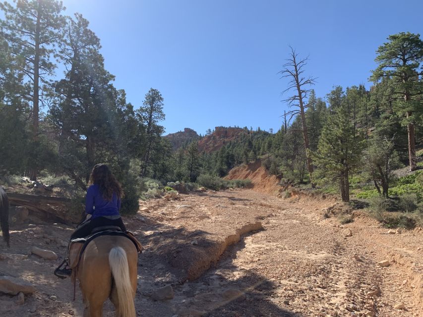 Bryce Canyon City: Horseback Riding Tour in Red Canyon - Group size, timing, and making the photos work
