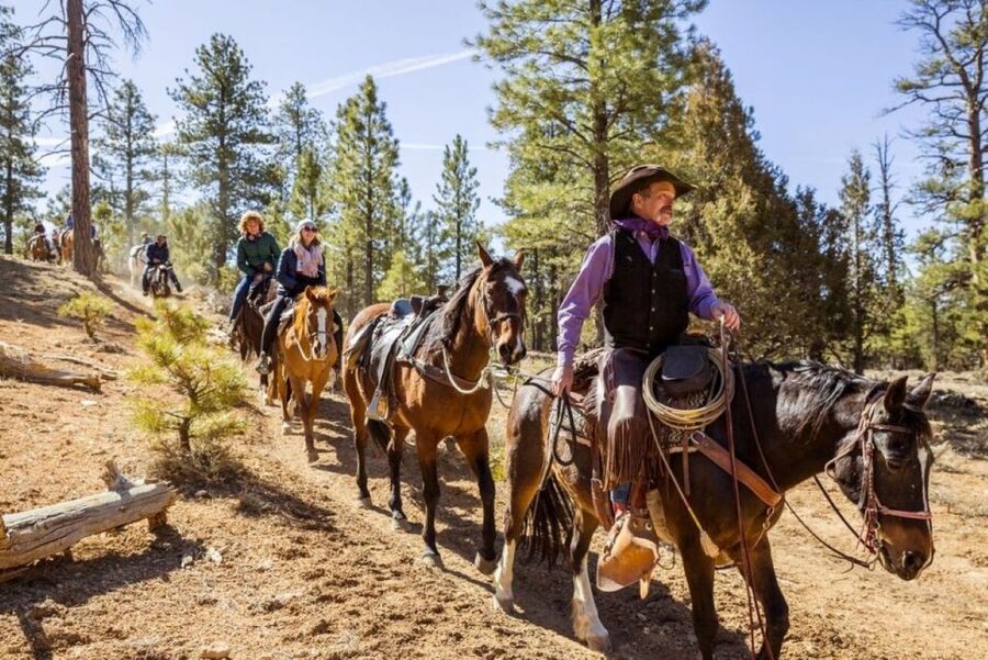 Bryce Canyon City: Horseback Riding Tour in Red Canyon - Who this horseback ride suits best (and who should skip it)