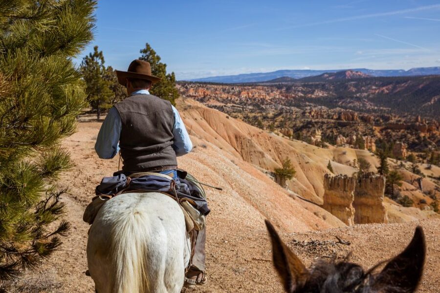 Bryce Canyon: Horseback Ride in the Dixie National Forest - Key highlights to know before you go