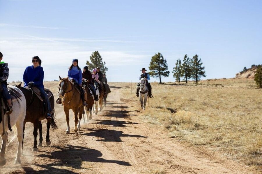 Bryce Canyon: Horseback Ride in the Dixie National Forest - The bristlecone pine moment: why one stop is so special
