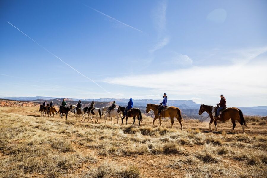 Bryce Canyon: Horseback Ride in the Dixie National Forest - Horses, tack, and comfort: what’s included and what to bring
