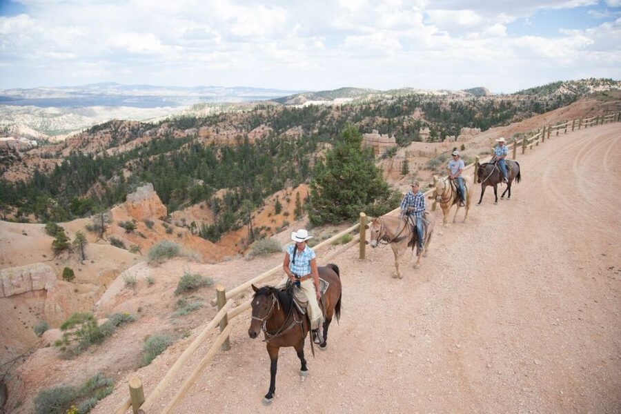 Bryce Canyon: Horseback Ride in the Dixie National Forest - Price and value: is $95 worth it?