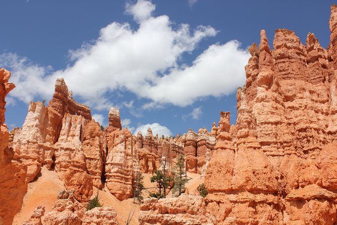 Bryce Canyon & Zion National Park from Las Vegas with Lunch, WiFi - Lunch and snacks: enough fuel for a long day
