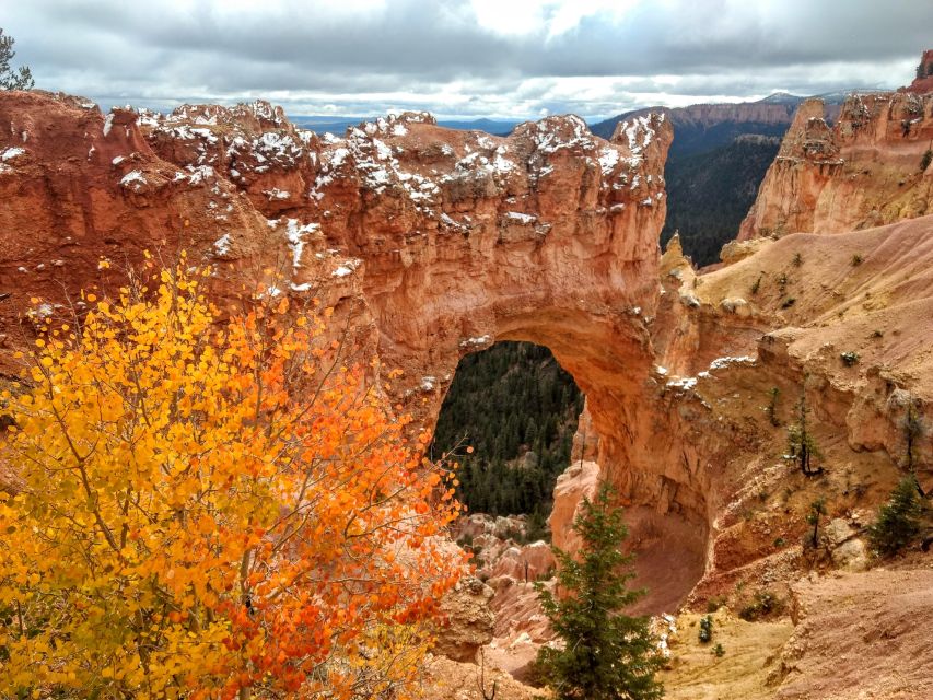Bryce: Guided Sightseeing Tour of Bryce Canyon National Park - Fairyland Canyon kickoff: the quick walk that sets your eyes
