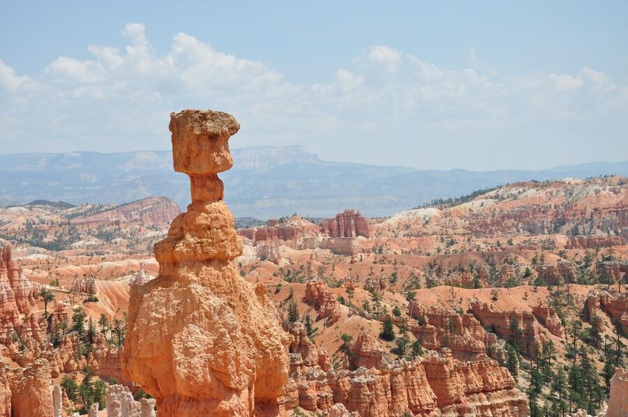 Bryce: Guided Sightseeing Tour of Bryce Canyon National Park - The $79 per person value: what you’re actually paying for