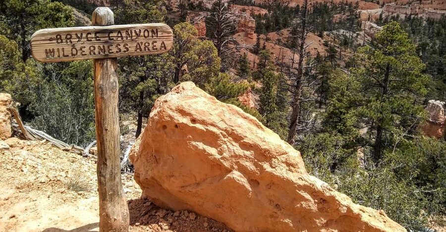 Bryce: Guided Sightseeing Tour of Bryce Canyon National Park - From Natural Bridge to the north rim view: the big geology hits