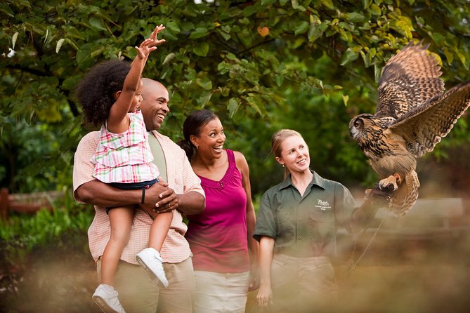 Busch Gardens Williamsburg Admission Ticket - Shows That Actually Help Your Day: Celtic Fyre and Pet Shenanigans
