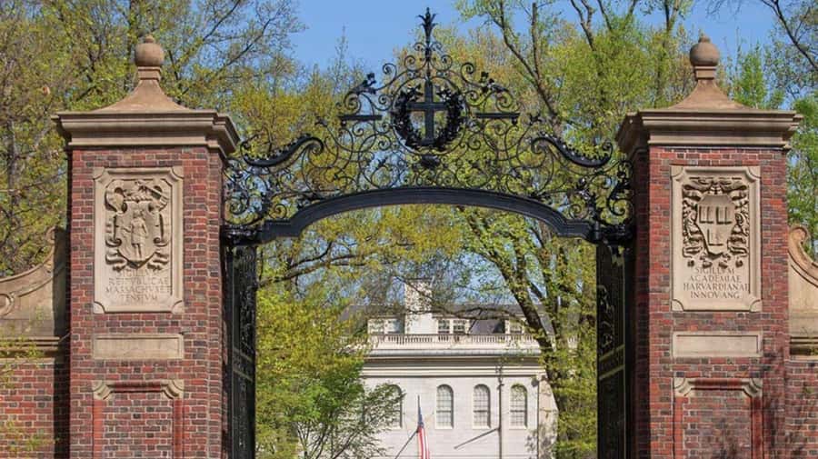 Cambridge, Massachusetts: MIT and Harvard Walking Tour - Where to meet: Ripple Cafe by MIT/Kendall