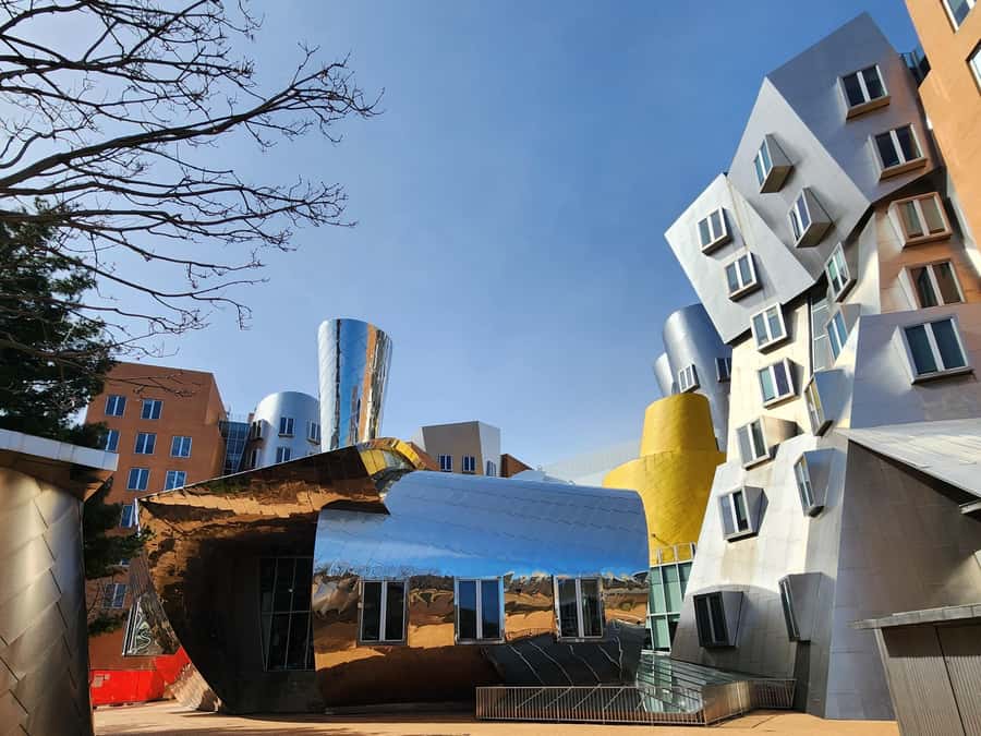 Cambridge, Massachusetts: MIT and Harvard Walking Tour - Outside-only means you’ll focus on legends, not interiors