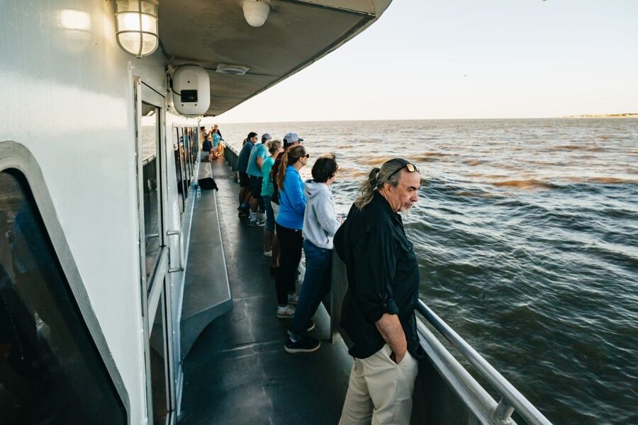 Cape May: Cape May Island Sunset Cruise & Dolphin Watching - Should You Book This Cape May Island Sunset Cruise and Dolphin Watching?