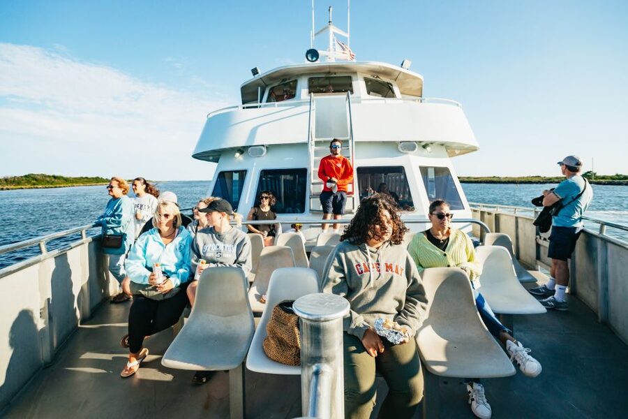 Cape May: Cape May Island Sunset Cruise & Dolphin Watching - Dolphin Watching on the Delaware Bay: How the Search Feels From the Water