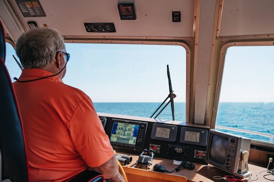 Cape May: Jersey Shore Whale and Dolphin Watching Cruise - Key Things to Know Before You Sail
