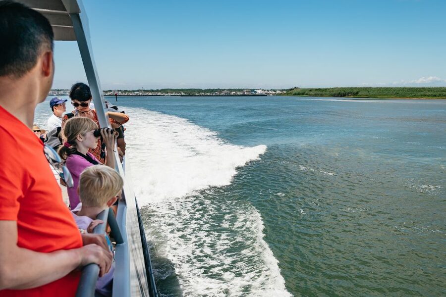 Cape May: Jersey Shore Whale and Dolphin Watching Cruise - The Whale and Dolphin Reality Check: Odds, Patience, and Choppy Water