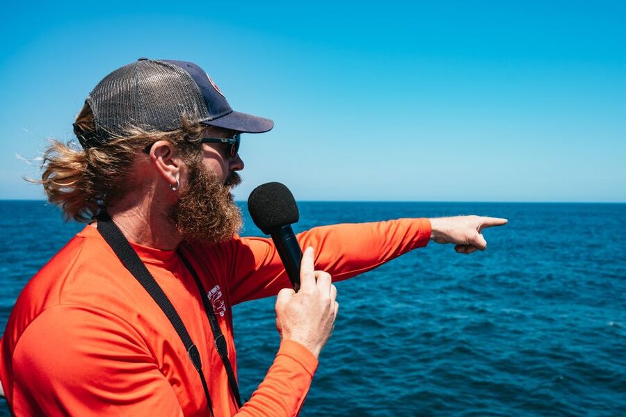 Cape May: Jersey Shore Whale and Dolphin Watching Cruise - How Long Is Enough Time to Spot Something Worth Watching?