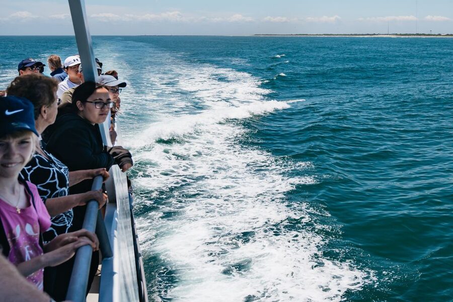 Cape May: Jersey Shore Whale and Dolphin Watching Cruise - Is This Tour Worth $55? A Practical Value Check