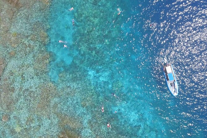 Captain Cook Snorkel Tour with Sea Caves and Lava Tubes - What snorkeling feels like: Fish, turtles, and how not to stress the reef