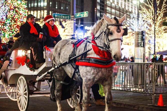 Carriage Ride in Central Park (VIP - PRIVATE) Since 1964™ - VIP Private Carriage Value in Central Park South