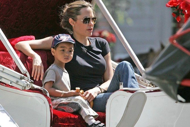 Carriage Ride in Central Park (VIP - PRIVATE) Since 1964™ - Feeding the Horse, Blankets, and How to Dress for the Ride