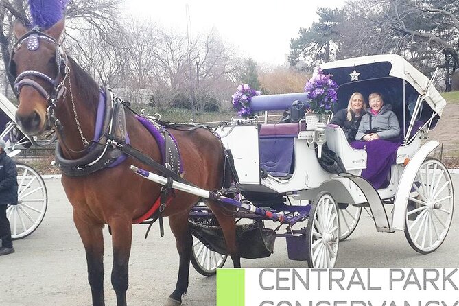 Carriage Ride in Central Park (VIP - PRIVATE) Since 1964™ - When to Book and When Daytime Beats Night