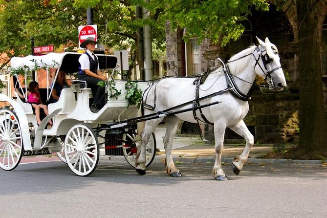 Carriage Ride in Central Park (VIP - PRIVATE) Since 1964™ - The 50-Minute Route, From Wollman Rink to Strawberry Fields
