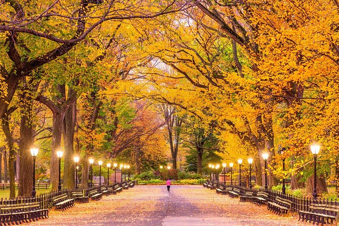 Central Park Pedicab Guided Tours - Key Things You Should Notice Before You Go