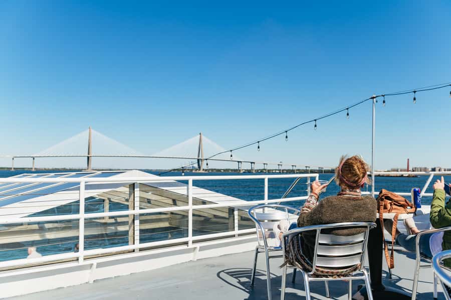 Charleston: Daytime or Sunset Historic Harbor Cruise - Dolphins, pelicans, and the best way to spot wildlife