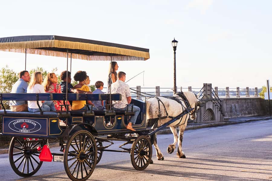Charleston: Downtown Horse-Drawn Carriage Tour - Who you ride with: licensed guides, humor, and real Q&A